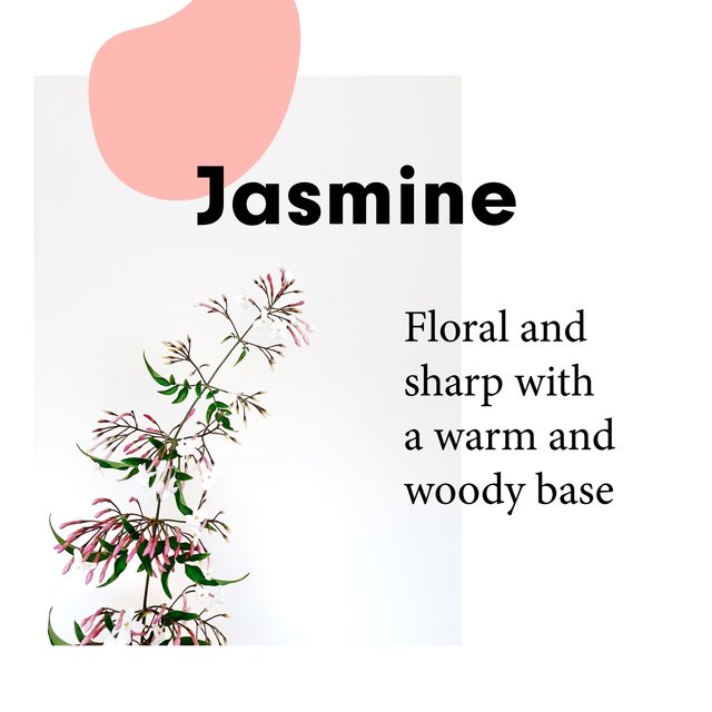 Wilton London Eco Fabric Conditioner Jasmine   1L GOODS M&S