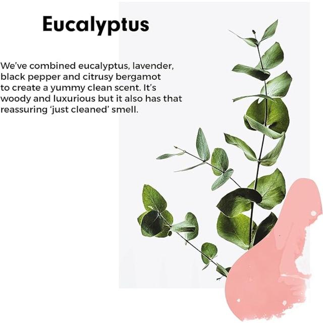 Wilton London Eco Washing-Up Liquid Eucalyptus   500ml GOODS M&S