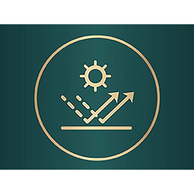 Wella Silvikrin Maximum Hold Hairspray   75ml GOODS M&S