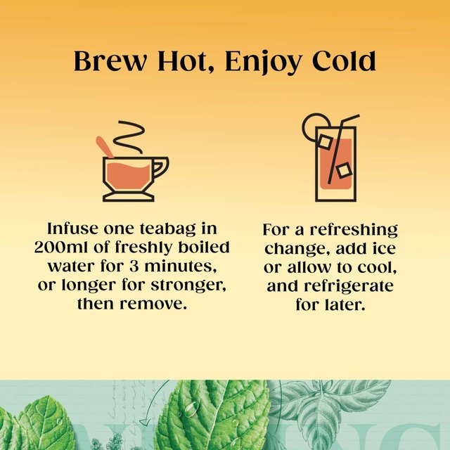 Twinings Organic Peppermint Tea 20 per pack GOODS M&S