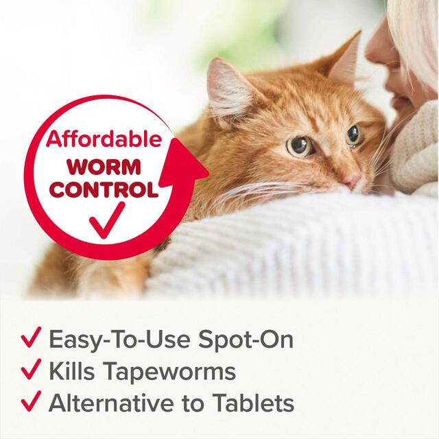 Beaphar WORMclear Worming Spot-On for Cats 6 per pack - McGrocer
