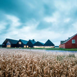 Stauning El Clasico Rye Danish Whisky Vermouth Cask 70cl GOODS M&S