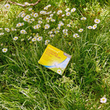 Superdrug Allergy & Hayfever 1 a Day Cetirizine Tablets X 14 GOODS Superdrug