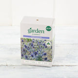 Sainsburys Garden Eryngium x3