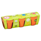 Sainsburys Little Ones Garden Grow Your Own Flowers 5 Years