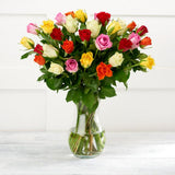Sainsburys Rainbow Roses Bouquet