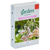 Sainsburys Honeybells x10