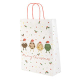 Sainsburys Home Large Bag