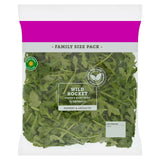Sainsburys Wild Rocket 120g