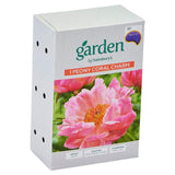 Peony Coral Charm