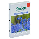 Sainsburys Garden English Bluebells x15