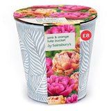 Sainsburys Pink Orange Tulip Bucket