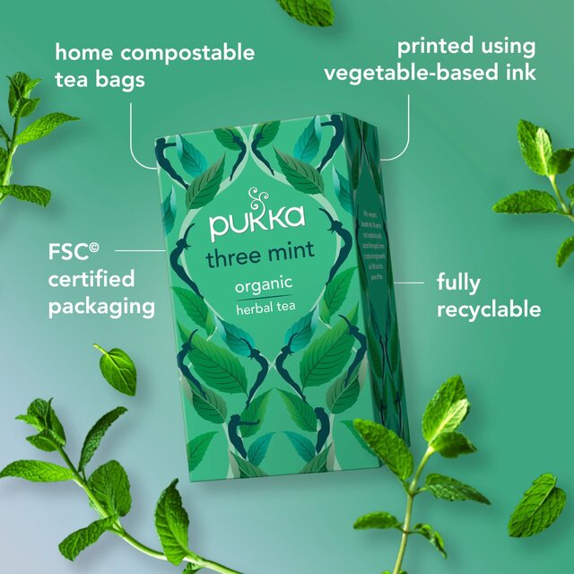 Pukka Organic Three Mint Tea 20 Home Compostable Herbal Tea Bags 32g 20 per pack - McGrocer