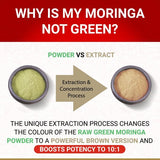 True Veda | Organic Moringa 10:1 Extract | Vegan | 60 Caps GOODS Superdrug