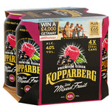 Kopparberg Premium Cider with Mixed Fruit