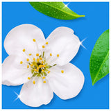 Flash Spray.Wipe.Done. Bathroom Anti-Bac Multi Purpose Cleaning Spray White Blossom