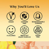 Twinings Spiced Ginger Tea 20 per pack GOODS M&S