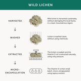 Together Multivitamin & Mineral Capsules 30 per pack GOODS M&S