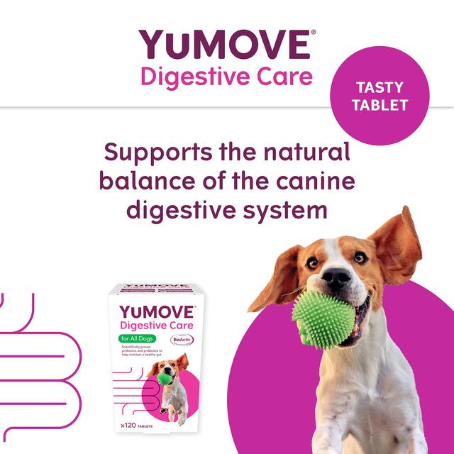 YuMOVE Dog Digestive Health Probiotics Supplement 120 per pack GOODS M&S