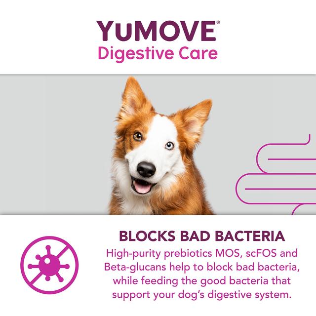 YuMOVE Dog Digestive Health Probiotics Supplement 300 per pack GOODS M&S