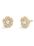 COACH Gold Tone Signature Mini Tea Rose Stud Earrings