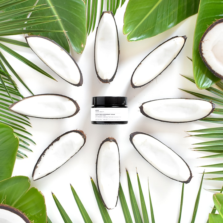 Evolve Cotton Fresh Deodorant Cream 30ml - 998300