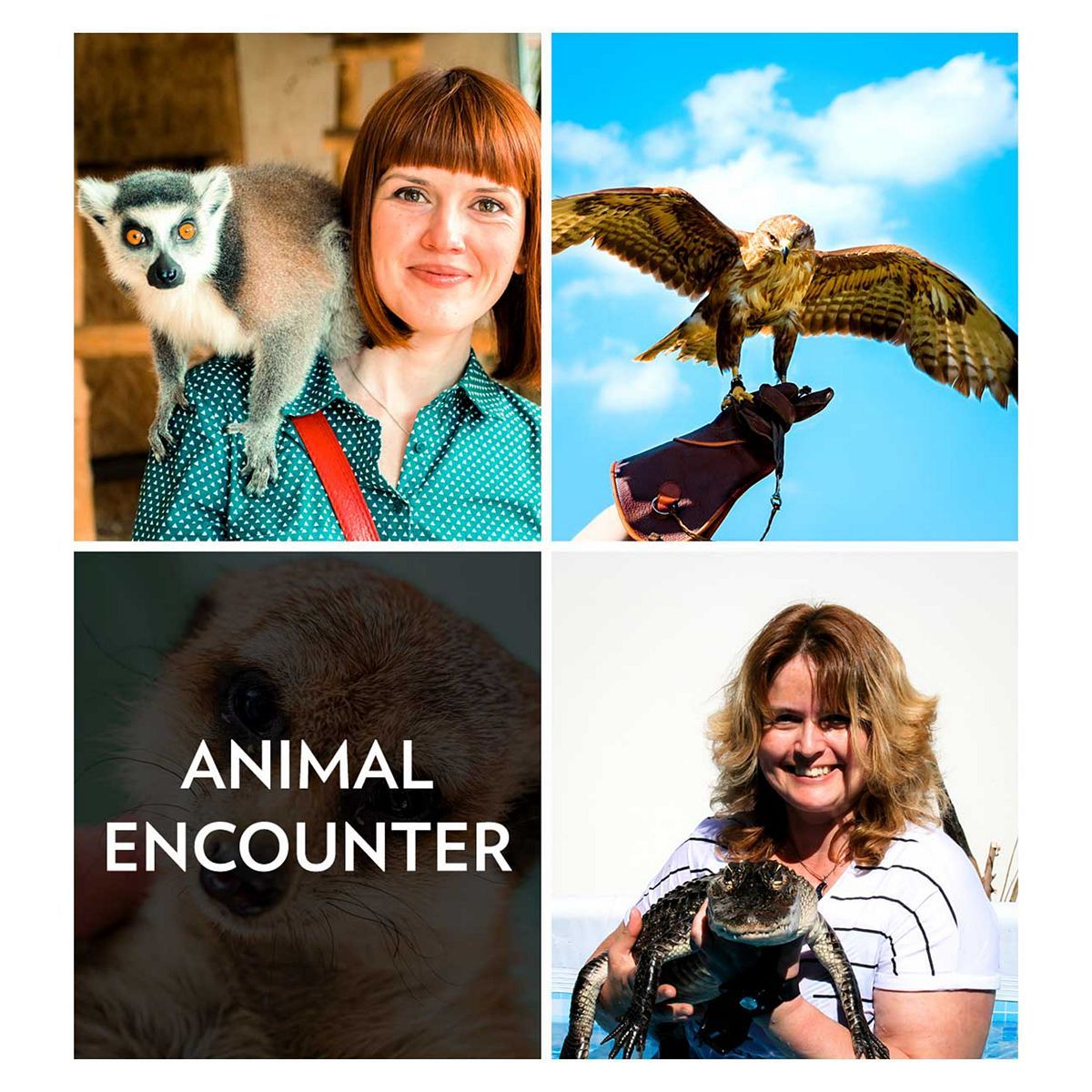 Activity Superstore Animal Encounter Gift Experience - McGrocer