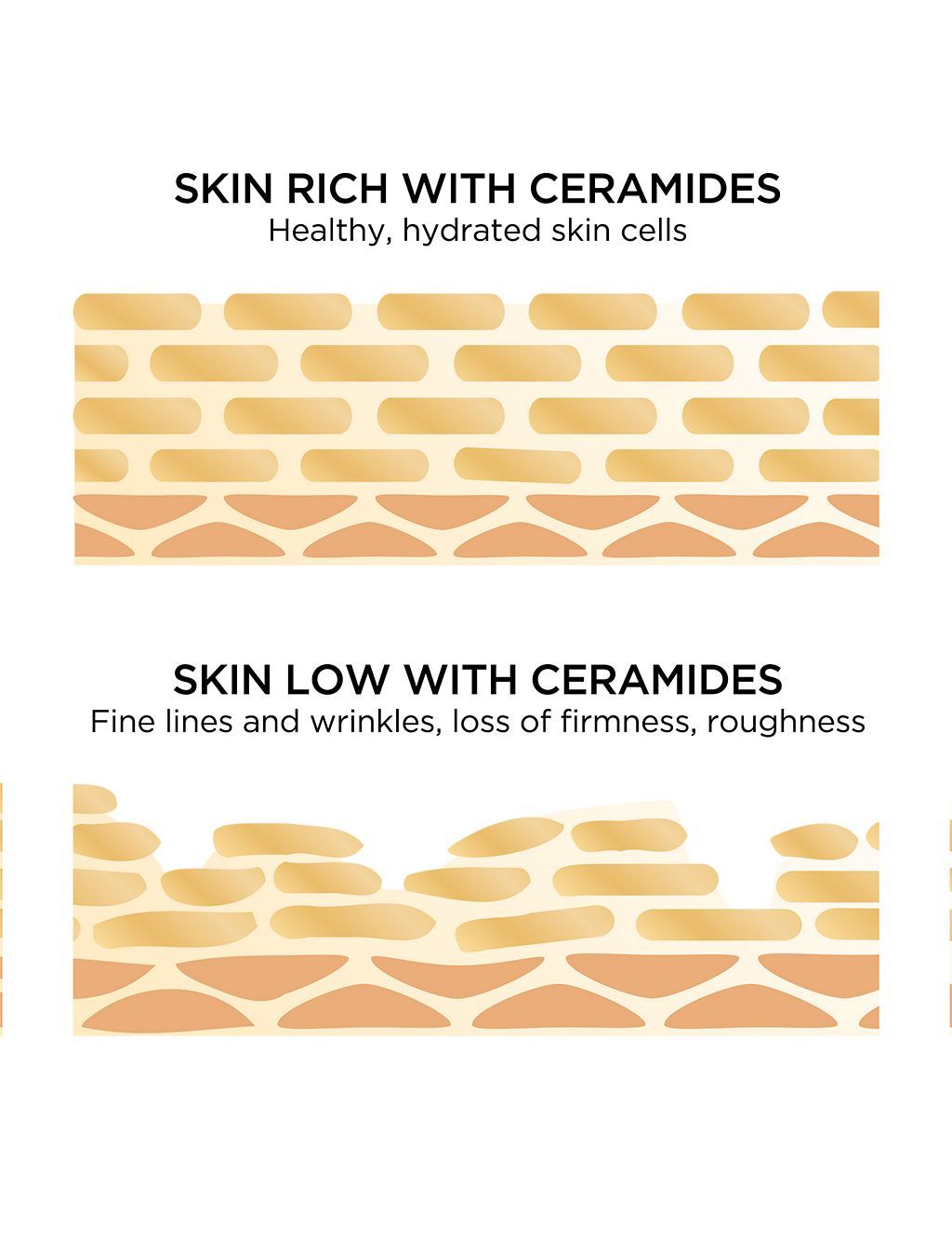 Advanced Ceramide Capsules Daily Youth Restoring Serum 30 Piece - McGrocer