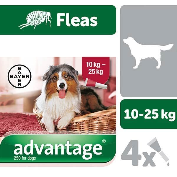 Advantage Flea Treatment 250 Spot For Dogs Between 10Kg-25Kg - McGrocer