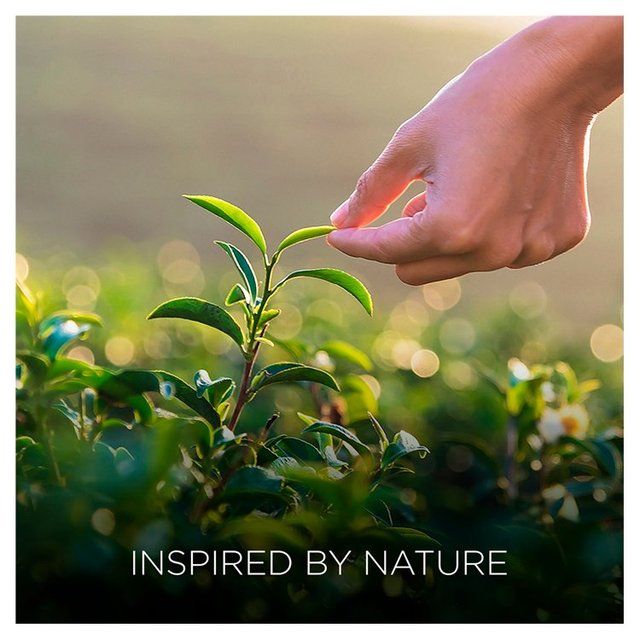 Airwick Botanica Candle Caribbean Vetiver & Sandalwood 205g - McGrocer