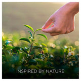 Airwick Botanica Candle Caribbean Vetiver & Sandalwood 205g - McGrocer