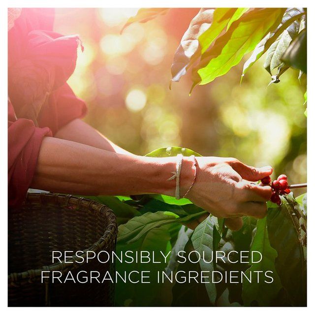 Airwick Botanica Reed Island Rose & African Geranium 80ml - McGrocer