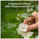 Airwick Fresh Cotton & Apple Blossom Air Spray 237ml - McGrocer