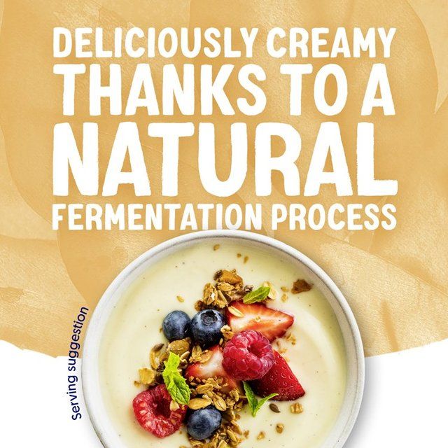 Alpro Vanilla Yoghurt Alternative 500g - McGrocer