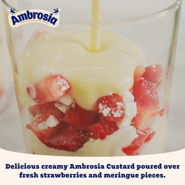 Ambrosia Devon Custard   400g - McGrocer