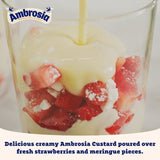 Ambrosia Devon Custard   400g - McGrocer