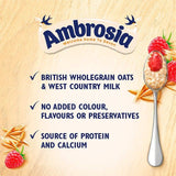 Ambrosia Ready To Eat Porridge with Raspberry Layer 210g - McGrocer