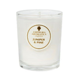 Amphora Aromatics Juniper & Pine Mini Pot Candles - McGrocer