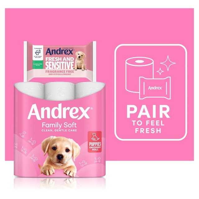 Andrex Hygiene Wipes Fresh and Sensitive Single Pack 30 per pack - McGrocer