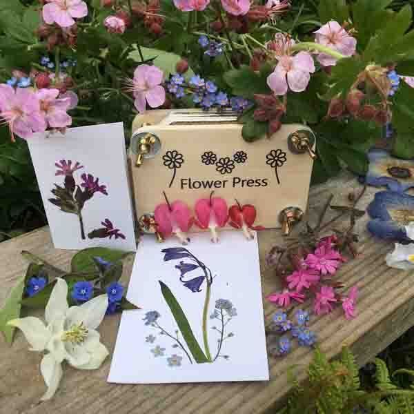 Apples To Pears Gifts For Grown Ups Flower Pressing Kit Tin - McGrocer