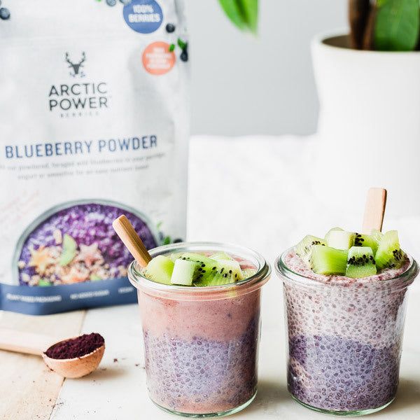 Arctic Power Berries Blueberry Powder 70g - McGrocer