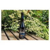 Aspall Premier Cru Cyder   6 x 500ml - McGrocer