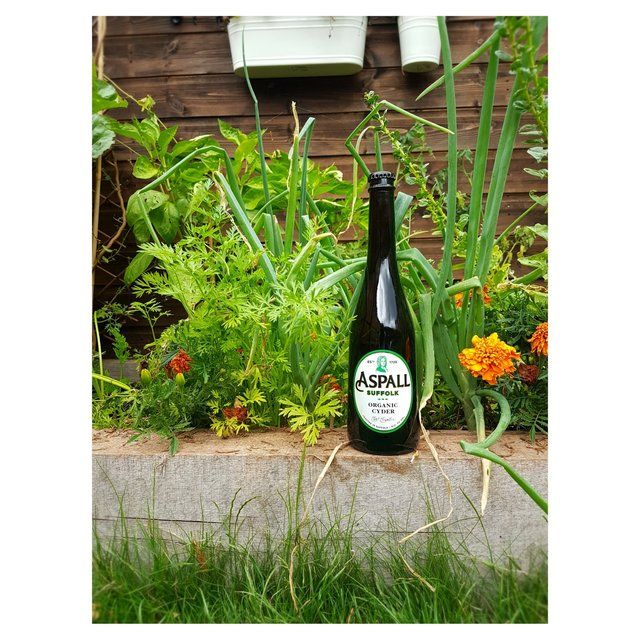 Aspall Suffolk Organic Cyder 500ml - McGrocer