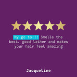 Aussie Shampoo Miracle Moist For Dry and Frizzy Hair 300ml - McGrocer