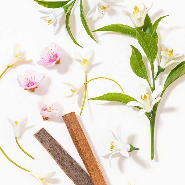 Avon Today Eau De Parfum 50ml - McGrocer