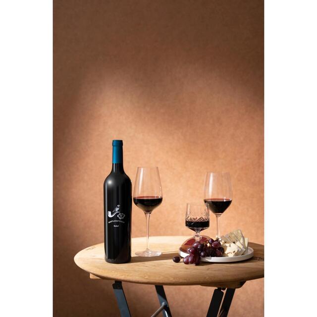 Babylonstoren Babel Red Blend 75cl - McGrocer