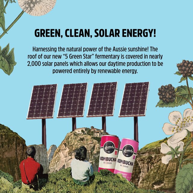 Remedy Kombucha Wild Berry Multipack   4 x 330ml - McGrocer