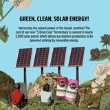 Remedy Kombucha Wild Berry Multipack   4 x 330ml - McGrocer