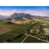 Babylonstoren Babel Red Blend 75cl - McGrocer