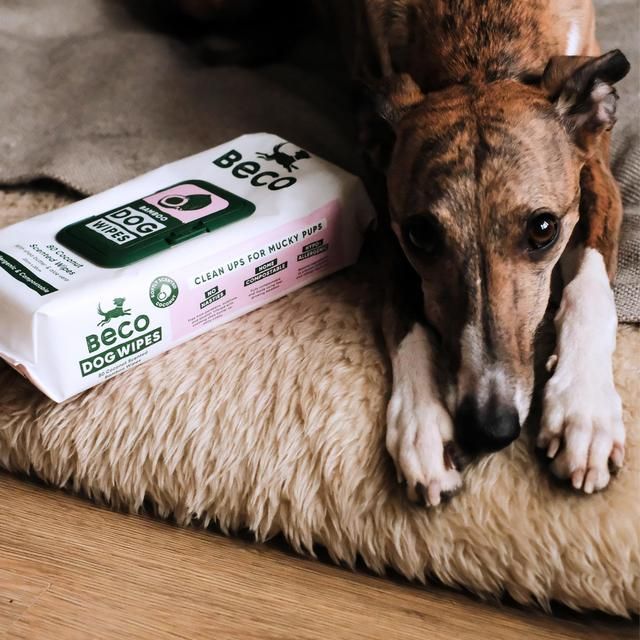 Beco Bamboo Dog Wipes Coconut Scented   80 per pack - McGrocer